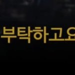 [NCT드림] 아 <b>재미</b>니 이 말 걍 ㄱ왤케 좋지