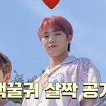 [골든차일드] <b>빈센조</b>팀 너무 귀여웤ㅋㅋㅋㅋ