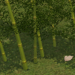 [<b>레이</b>] 사담)