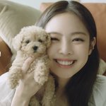 [모두드루와] 와 제니 새로운 에이스 <b>침대</b> 광고
