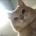 야 인스타 염타무제발 ㅠㅠㅠㅠ알려줘