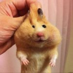 <b>동화</b> 느낌 나는 노래 추천해주라