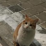 [댓글부탁해] 나 진짜 어른들 <b>문화</b> 이런거 못즐기겠어