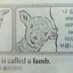 [댓글부탁해] 코로나 <b>음성</b> 나오면 학교 오라는데
