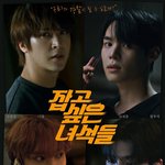 본격 아이돌들이 현상수배범 잡는 웹드