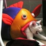 [추반] 아이패드 <b>골라조</b>