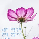 인스타 <b>필터</b>중에 젤리 하트?..