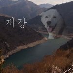 [방탄소년단] 꾹이 <b>아이돌</b> 안했음 생일날 개꿀<b>잼</b>인디...
