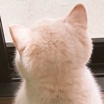 뒷모습 보고가요 제발..ㅠㅠㅠㅠㅠ