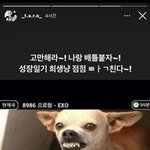 헐 스우파 <b>타로</b>가 이채연 저격함