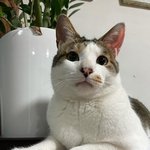 그래도 다같이 어려운거 같아서 <b>다행</b>이다