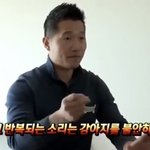윈터 고양이 영상 <b>본</b> <b>후</b> 생각