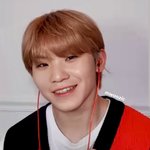 밥줄캐럿들 개<b>나대</b> (혐주의)