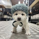 혹시 <b>문창</b> 과외받는 애들 있음?