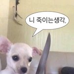 청첩장 <b>제작</b>해본 유사녀있어?