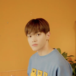 [NCT칠프] ㅈㄴㄱㅇㅇ