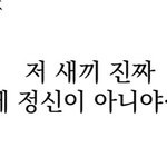 [드루와] 9모 친 <b>현역</b>의 점수