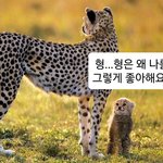 [NCT칠프] 북<b>미즈</b>