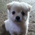 고2 <b>수능공부</b> 어떻게 해야돼??ㅠ