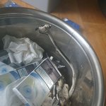 재털이에서 <b>버섯</b>이남....