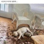 [맑은고3] 모고는 모고일 뿐!!!!!!