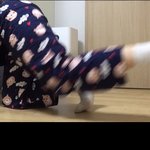 아니 울집견공 너무 귀여운데. .