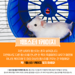 카리나글 <b>도배</b>하는 윈터악개야 이거 보고가