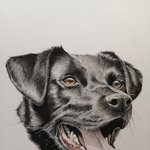 취미로 그린다는 금<b>손들</b>의 그림 실력