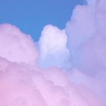 [세븐틴] ㅅㄷ?이거 배경사진?