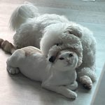 [댓글부탁해] 네일 <b>파츠</b> 붙이면 가격 더 나옴?