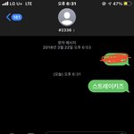 [스키즈] 투표 인증!