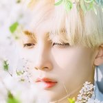 [세븐틴] 이거 <b>정한</b>이인거 아는데 <b>정한</b>이 안같음