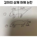 강아지 <b>상체</b> 하체 논란