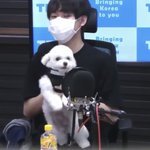 [NCT드림] 헐 대갈이 짱 <b>마니</b> 컸어