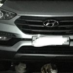 [드루와] 나 <b>심부름</b> 하고 집가다가 고양이 봣는데