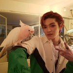 [이태용] 툥이 보고싶다