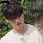 [이태용] 영혼나간 <b>요미</b> 짤