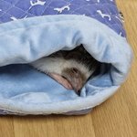 <b>오디</b> 너무 귀엽다…
