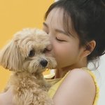 아니 근데 조유리 쌍수 <b>확실</b>한거 맞아?..;