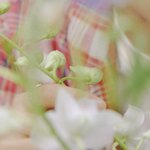 [NCT드림] 마크도 드림<b>반지</b>!!