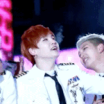 [방탄소년단] 윤기 고양이 왜 못 만져ㅋㅋㅋㄱㅋㅋㅋ