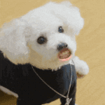 나 <b>옆태</b> 어때?
