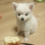 [댓글부탁해] 얘들아 너네라면 대학 어떻게 할 거야?