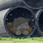 [드루와] 누가 나 욕하는 거 같은 <b>환청</b> 들리면