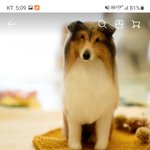 [널리퍼트려] ㅇㅇ디어스에서 <b>주문제작</b> 반려견 인형, 양모펠트 사기...