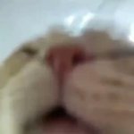 강민희 <b>장발</b>했네