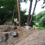 다이어트 하는데 <b>등산</b> 효과 ㅈㄴ 좋음