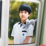 나의 아기고양이