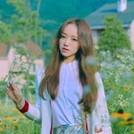 드디어 데뷔하는 웬디 원픽 연습생