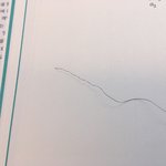 <b>곱슬머리</b>의 <b>머리</b>카락